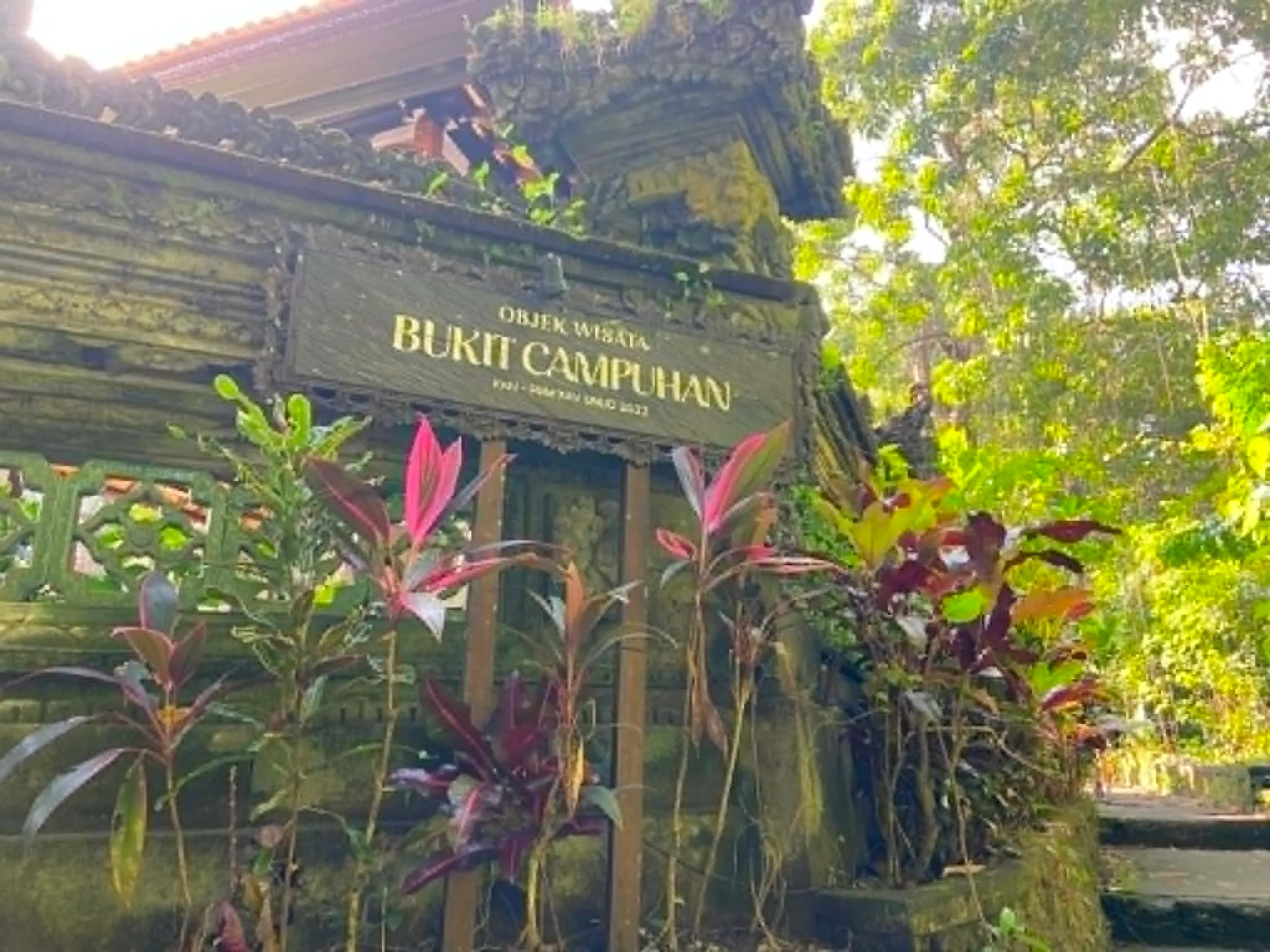 Vstupní cedule u stezky Campuhan Ridge Walk v Ubudu obklopená rozkvetlými růžovými květy