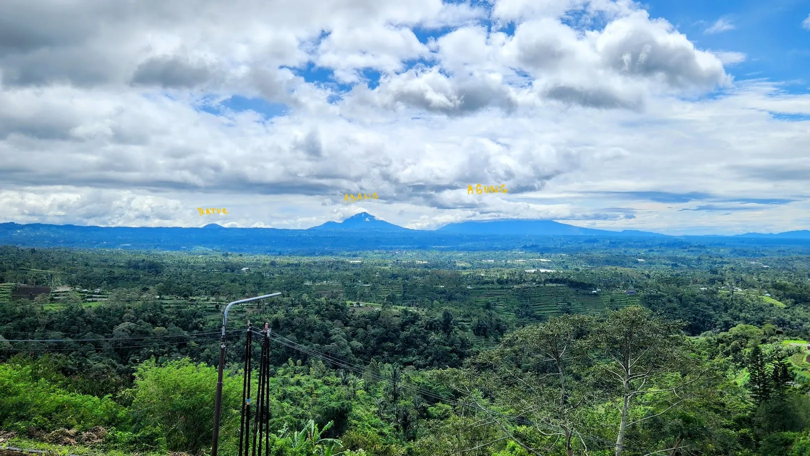 Tropická krajina na Bali — rýžové terasy a palmy